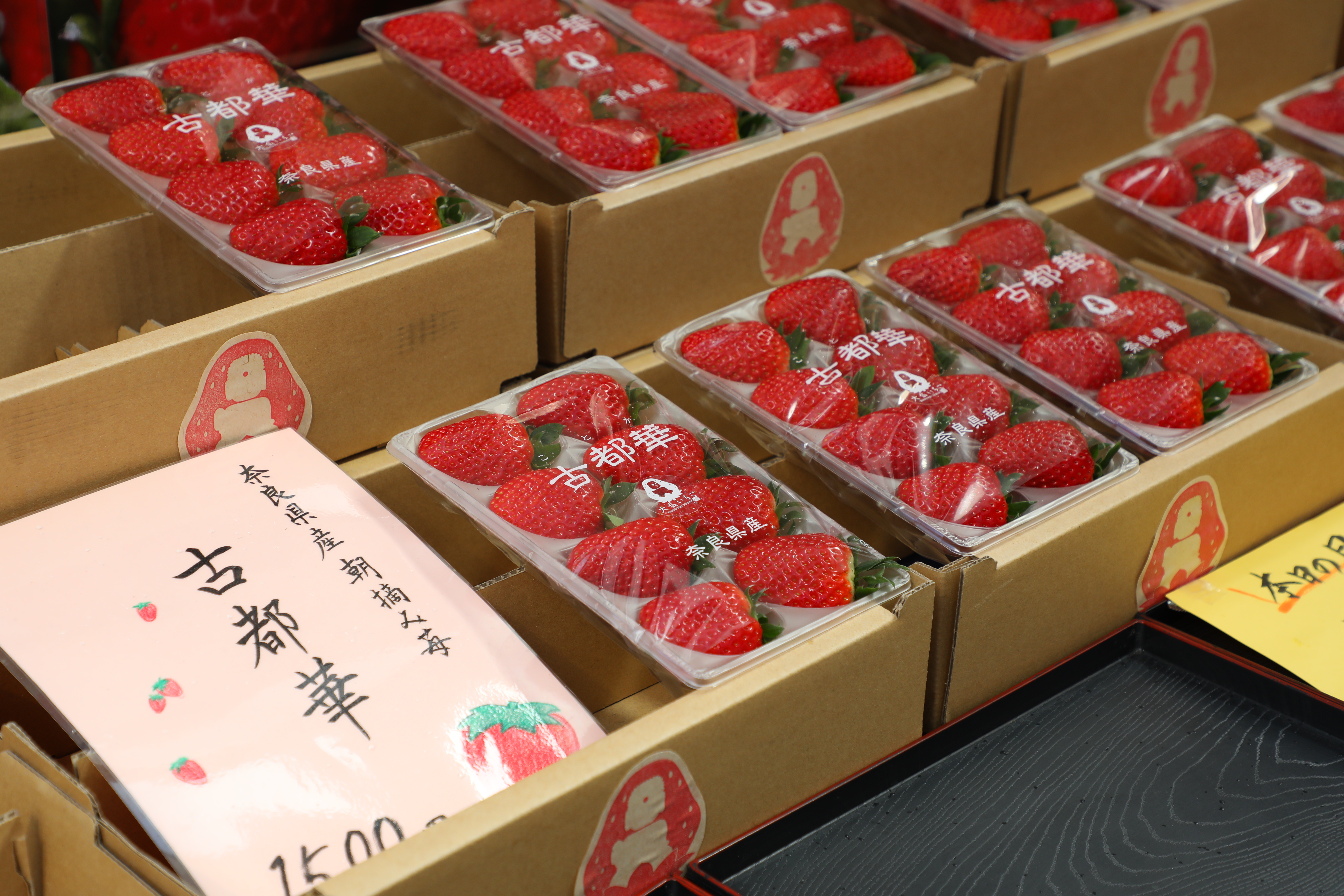 現場還可以買到當日清晨現摘的新鮮草莓。