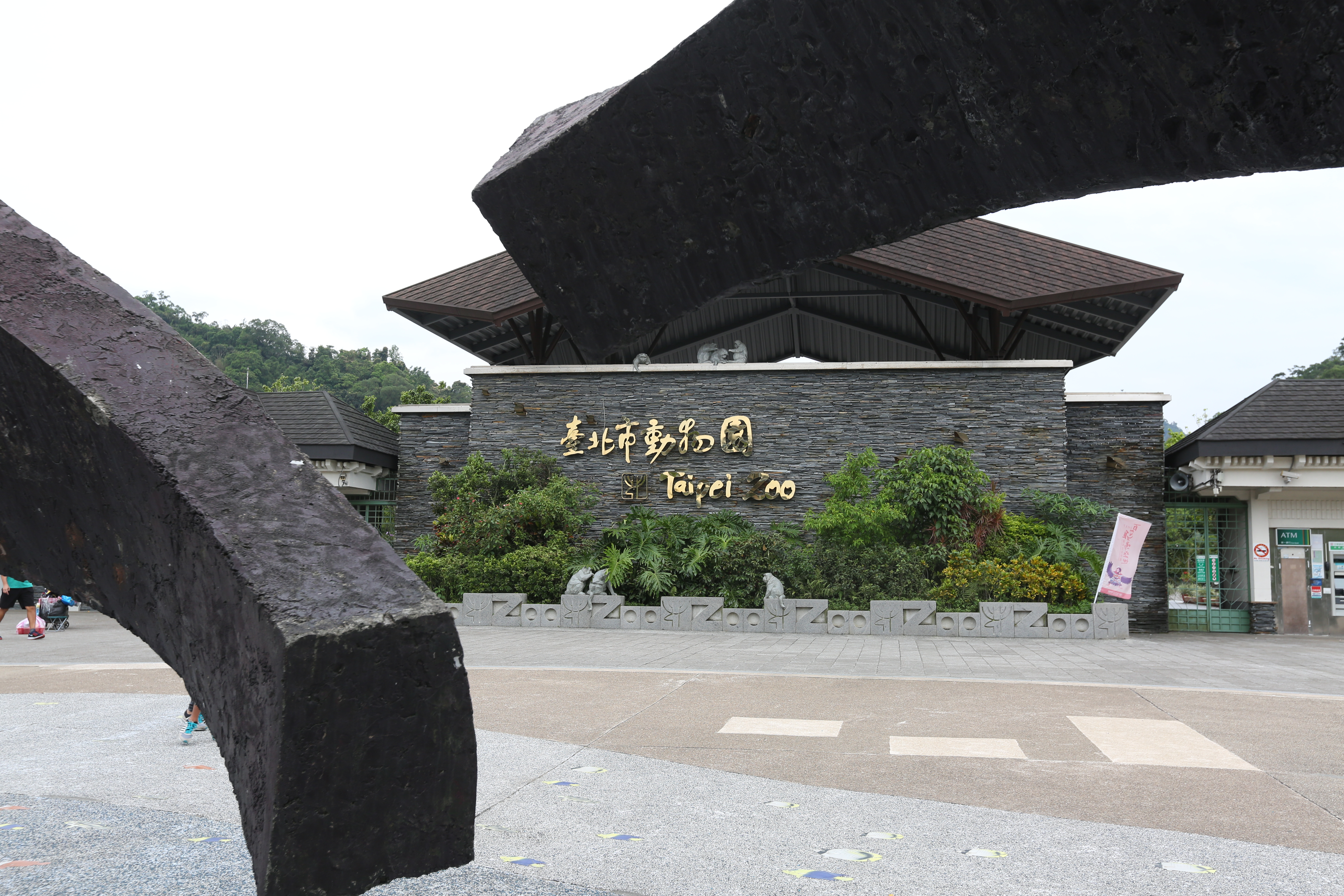 台北市立動物園將負責狒狒檢驗，有望對其品種做出判定。（本刊資料照）