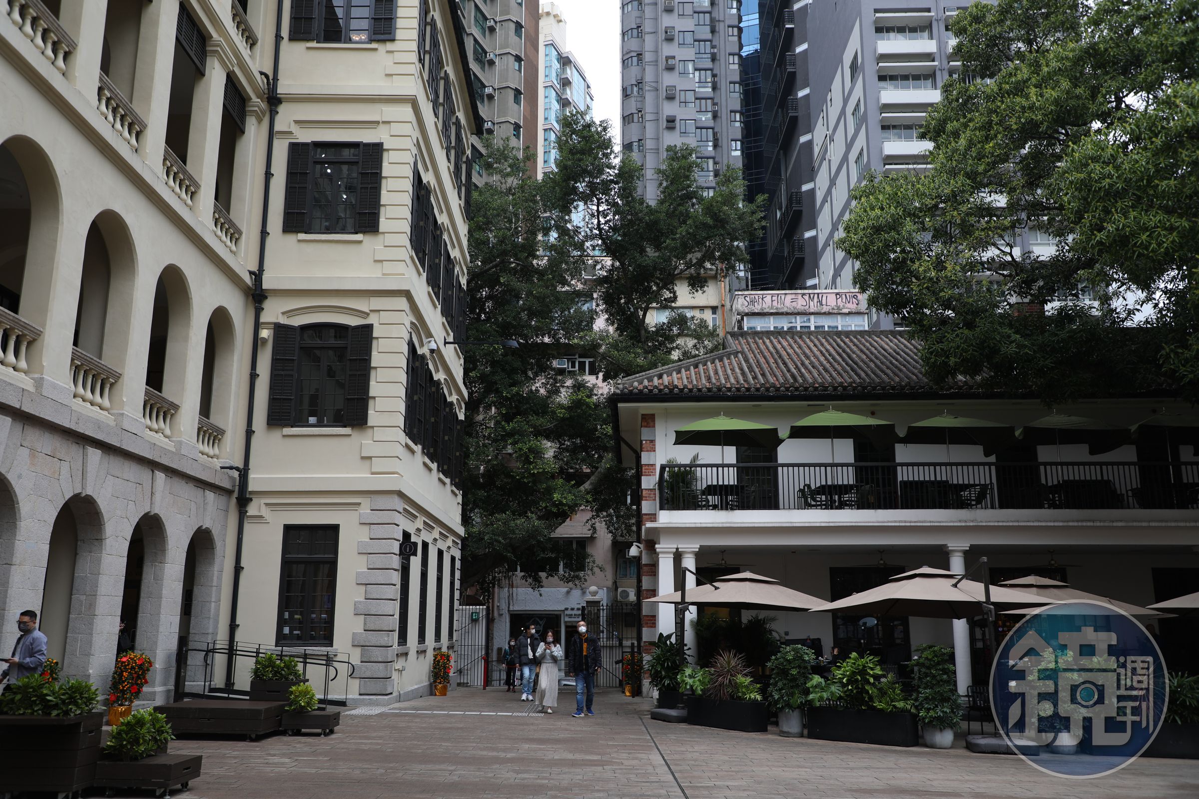 大館的歷史悠久,可以參加為時45分鐘的大館導賞團,深入認識這裡的獨特故事。