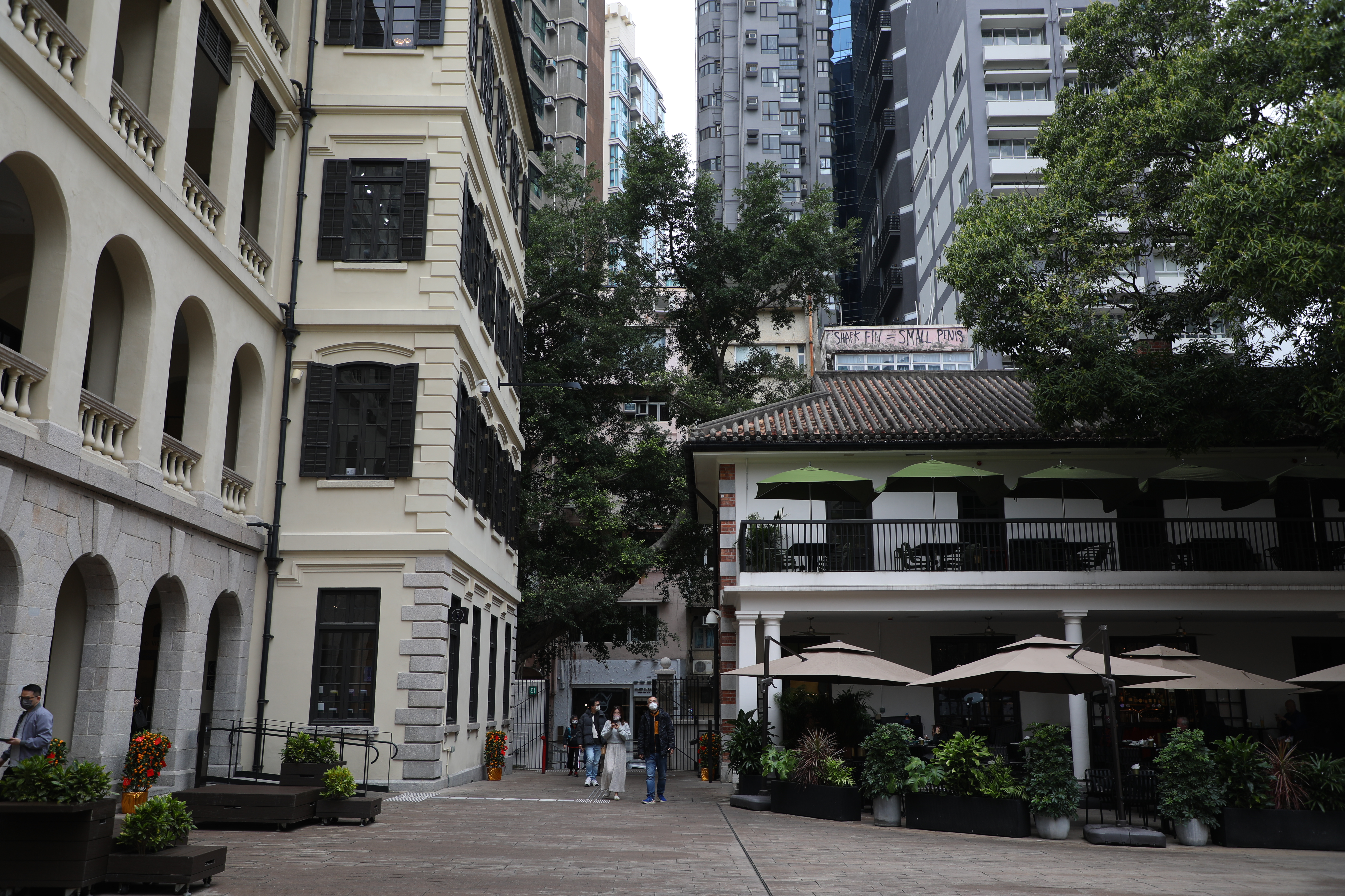大館的歷史悠久，可以參加為時45分鐘的大館導賞團，深入認識這裡的獨特故事。
