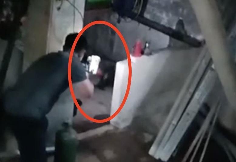 東非狒狒遭獵人獵槍擊中死亡,不過究竟是誰授權開槍,引起各界關注。(翻攝畫面)