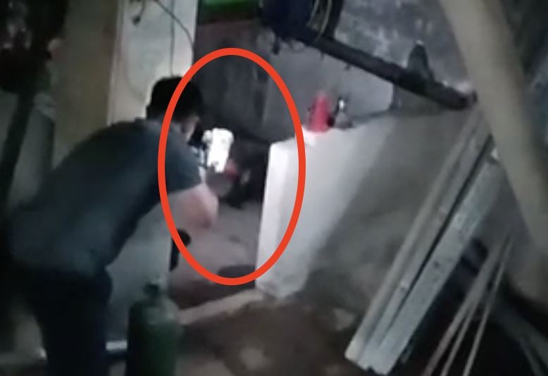 東非狒狒遭獵人獵槍擊中死亡，不過究竟是誰授權開槍，引起各界關注。（翻攝畫面）