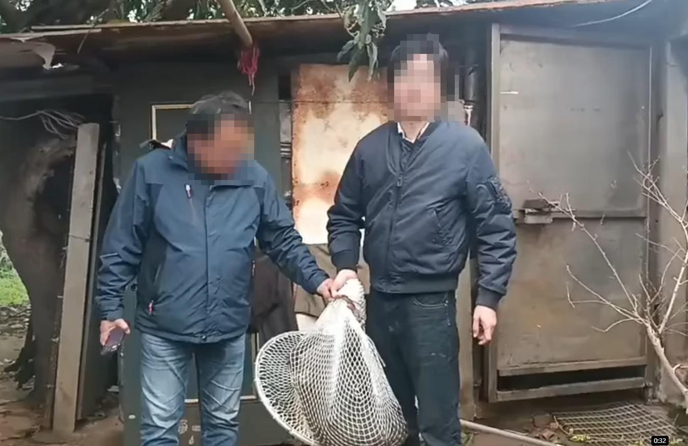 東非狒狒遭到槍殺一事引起社會眾怒。(翻攝自臉書)