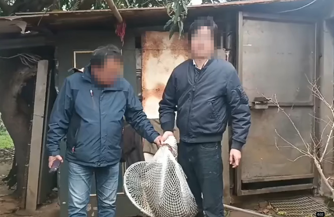 東非狒狒遭到槍殺一事引起社會眾怒。（翻攝自臉書）