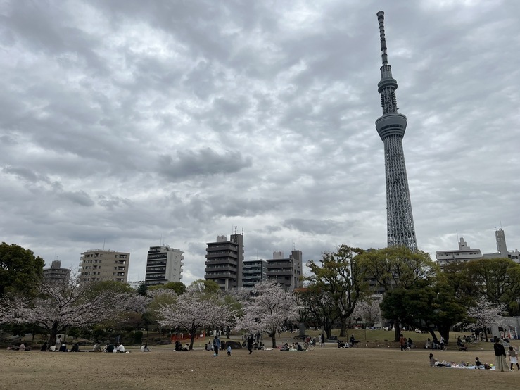 墨田區隅田公園能眺望晴空塔。