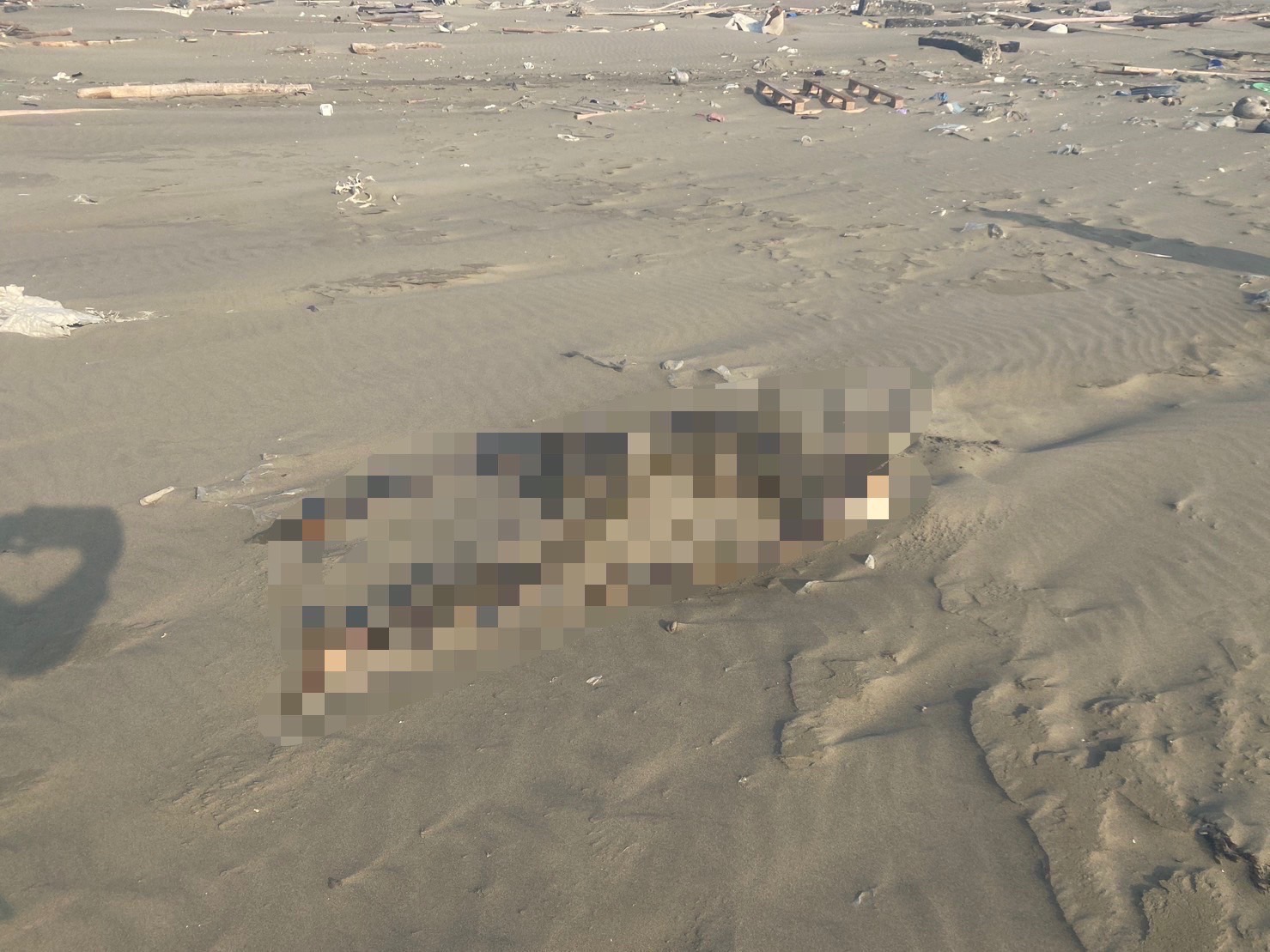 近日中南部海岸發現多具浮屍，疑遭人蛇集團海上丟包致死。（翻攝畫面）