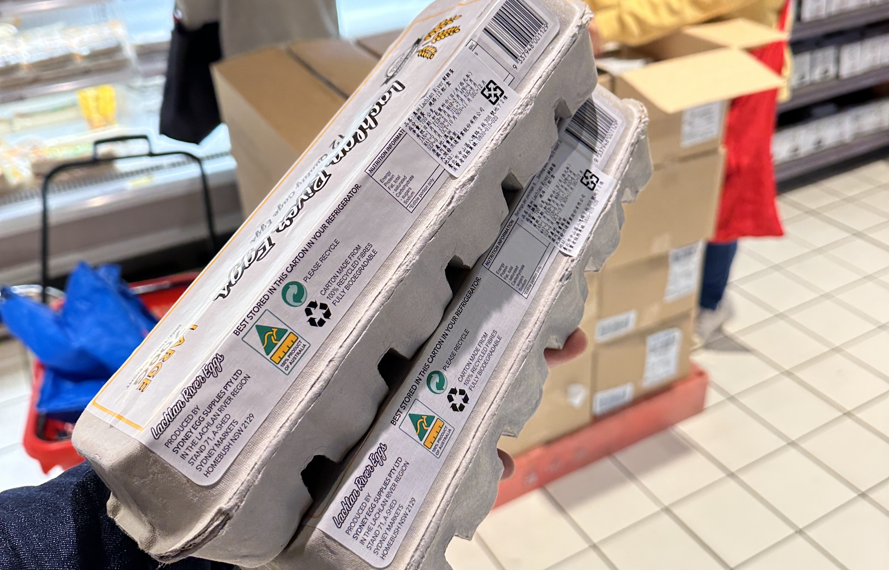 政府陸續從澳洲進口雞蛋，不少量販店已上架供貨。