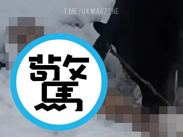 普丁堅持進攻烏克蘭，更多俄兵變砲灰！曝屍荒野成狗糧被啃食。（翻自Telegram）