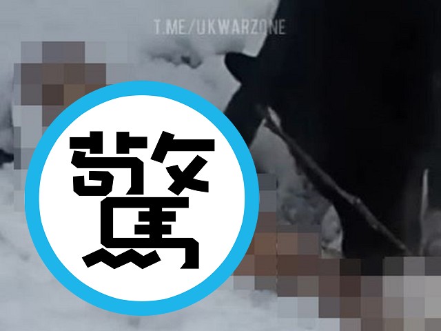 普丁堅持進攻烏克蘭，更多俄兵變砲灰！曝屍荒野成狗糧被啃食。（翻自Telegram）