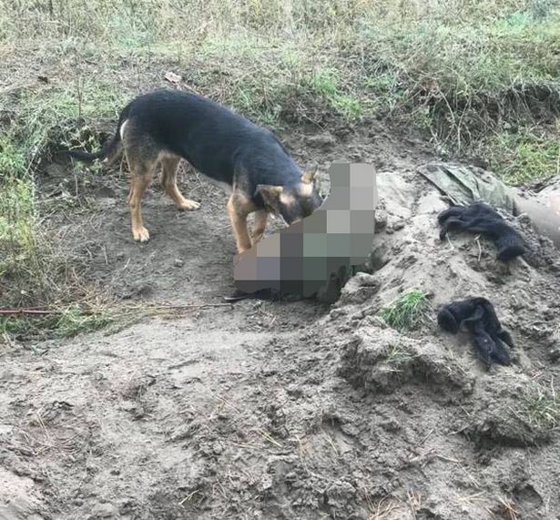 烏克蘭人諷刺說「動物們不怕挨餓了」。（翻自Telegram）