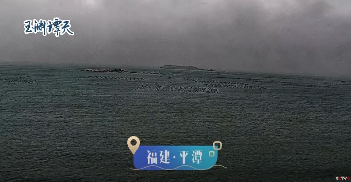 「海巡06」等船隻出現在福建平潭沿岸。（翻攝「玉淵譚天」直播）