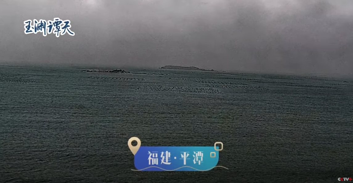 「海巡06」等船隻出現在福建平潭沿岸。（翻攝「玉淵譚天」直播）