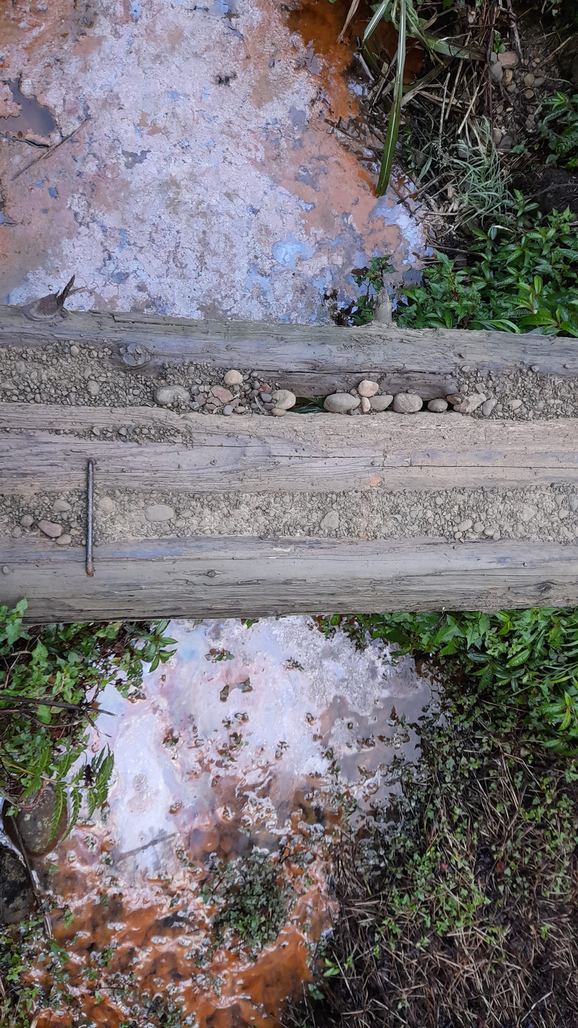 自行背帳的登山客抱怨,嘉義水漾森林因遊客太多,造成環境髒亂不堪。(翻攝自靠北登山大小事)