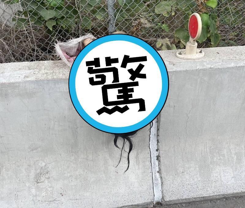 高度仿真人的情趣娃娃，掛在員林大排護欄上，被誤認為是「爆乳女屍」。（警方提供）