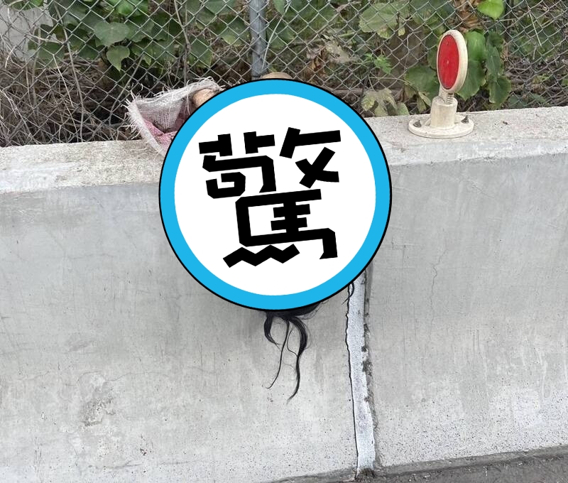 高度仿真人的情趣娃娃，掛在員林大排護欄上，被誤認為是「爆乳女屍」。（警方提供）