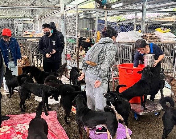 鄭淳駿（左二）不定期帶員工前往流浪動物之家關懷流浪狗。（The Hermit隱餐飲集團提供）