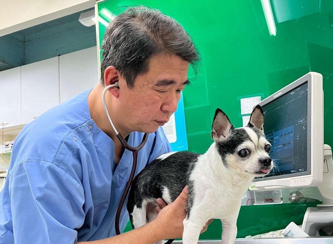 楊孝柏獸醫師表示，定期帶寵物做健檢，是確保他們健康的重要關鍵。（法國皇家寵物食品公司提供）