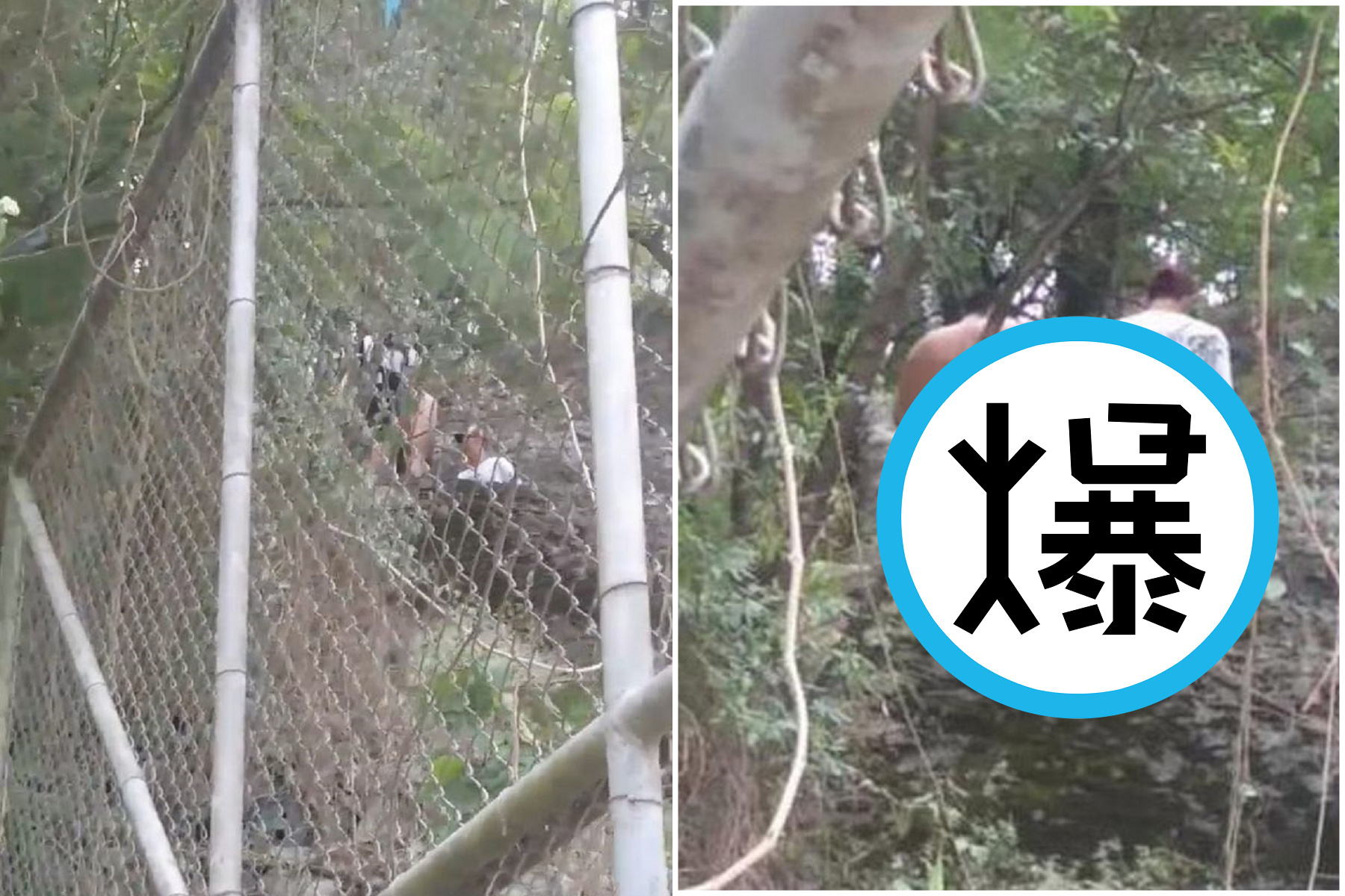 男女在兒童公園邊做神祕儀式，竟是3P活春宮！不甩鄉民直視持續野戰。（翻自《每日星報》）