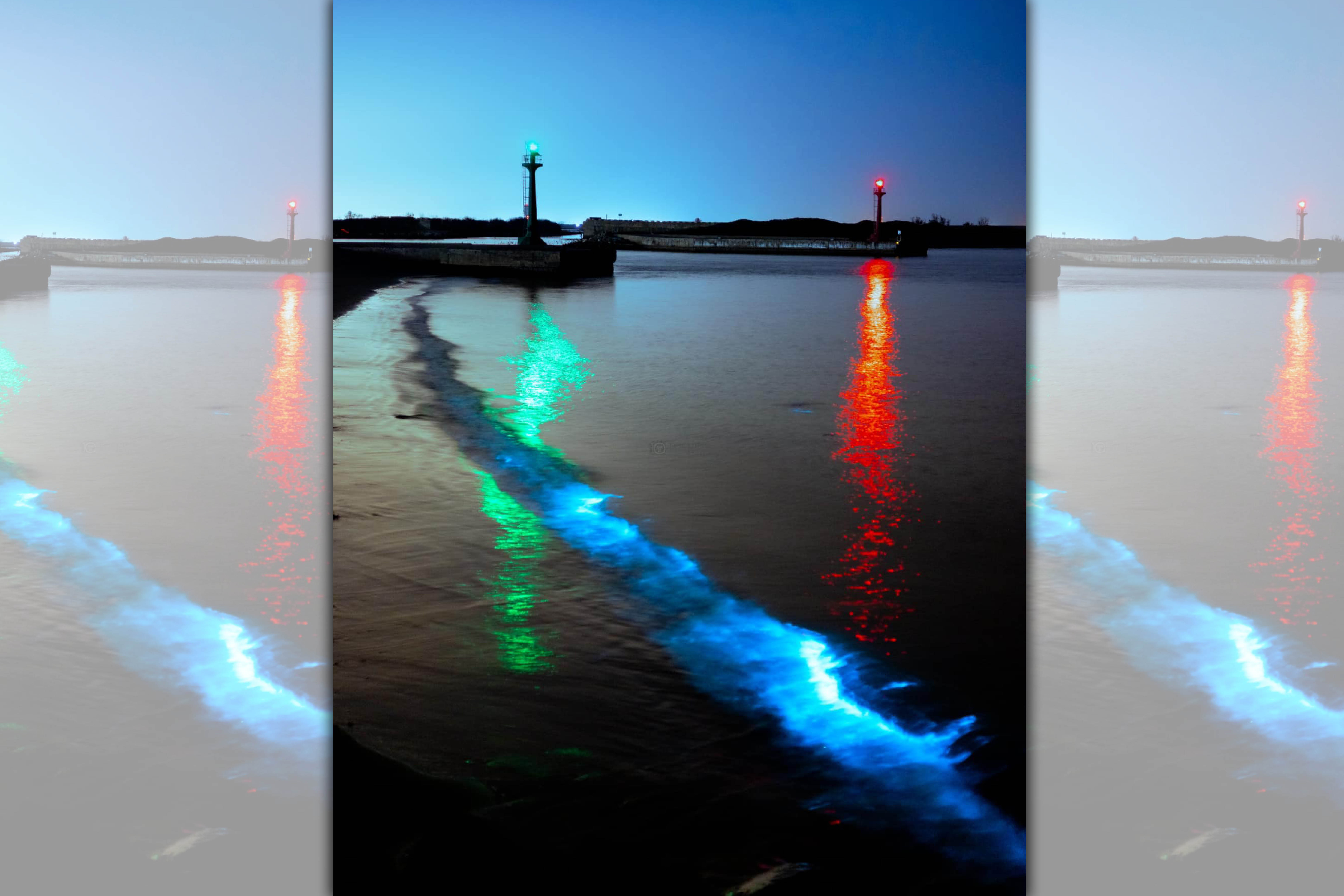 台南將軍區青山漁港、將軍漁港出現「藍眼淚」美景，吸引民眾爭相前去欣賞。（翻攝自黃偉哲臉書）