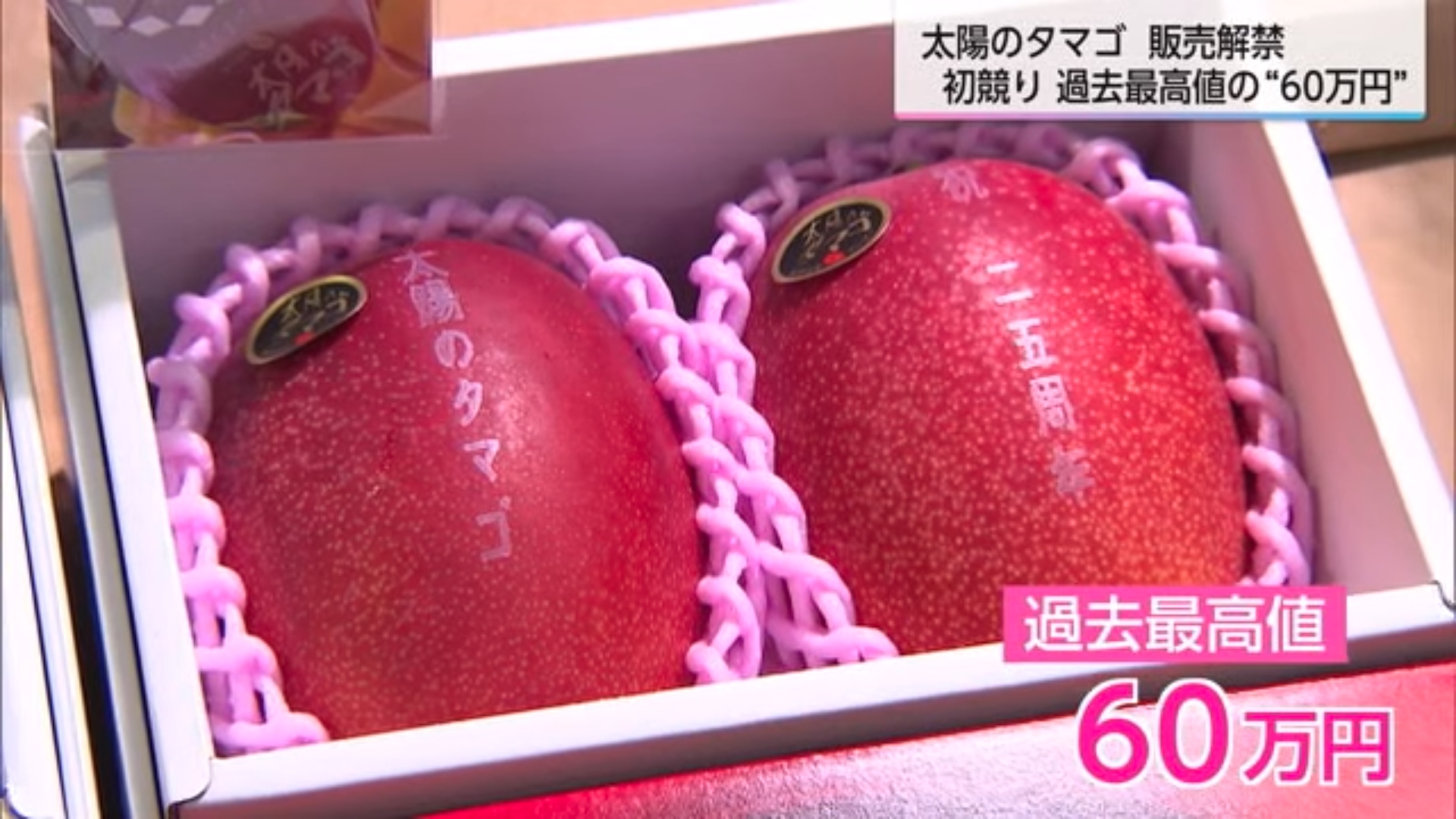 宮崎名牌芒果「太陽之玉子」飆破天價,1顆要30萬日圓。(翻攝自富士新聞網)