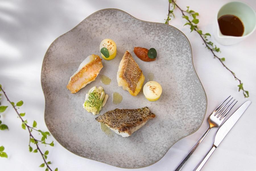 歐陸新菜強打主菜「季節鮮魚茴香馬賽海鮮醬汁」改良知名法菜馬賽魚湯。(北投麗禧提供)