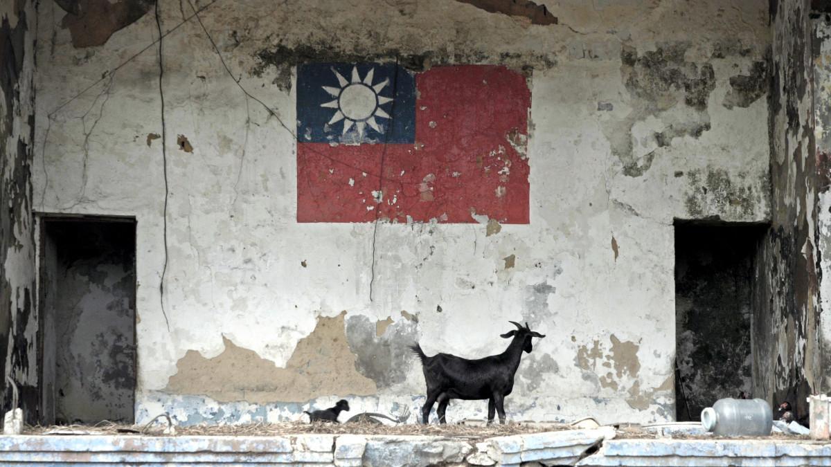 金門的廢墟因為動物出現而有獨特的氣氛。（紅潤影像提供）