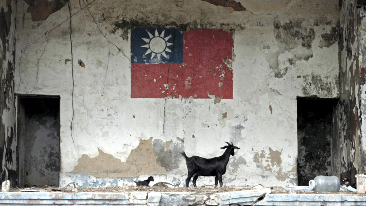 金門的廢墟因為動物出現而有獨特的氣氛。（紅潤影像提供）
