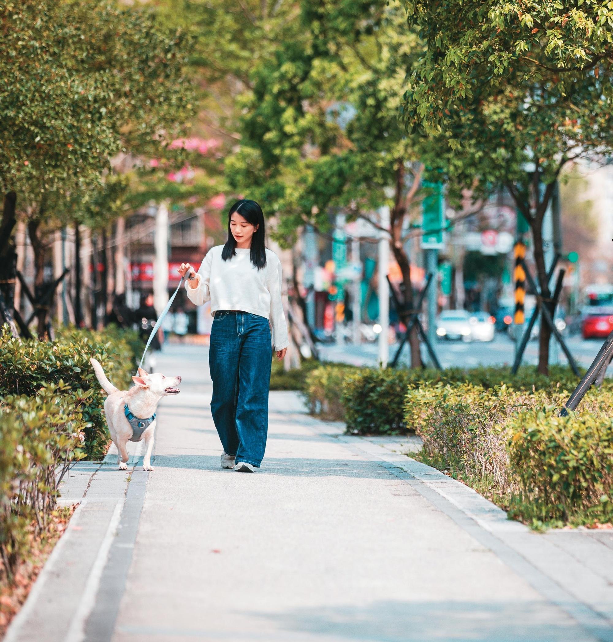 台北的生活環境日益寵物友善，毛爸、毛媽可輕鬆帶著毛孩探索台北風景。