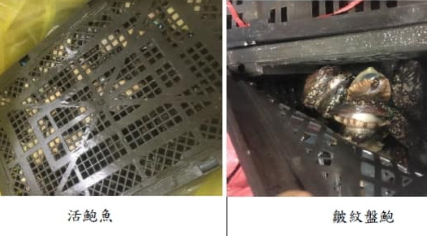 民進黨立委洪申翰、連江黨部主委李問指出，馬祖沒有養殖也沒有進口，何來11噸活鮑魚運至台灣。（翻攝自李問臉書）