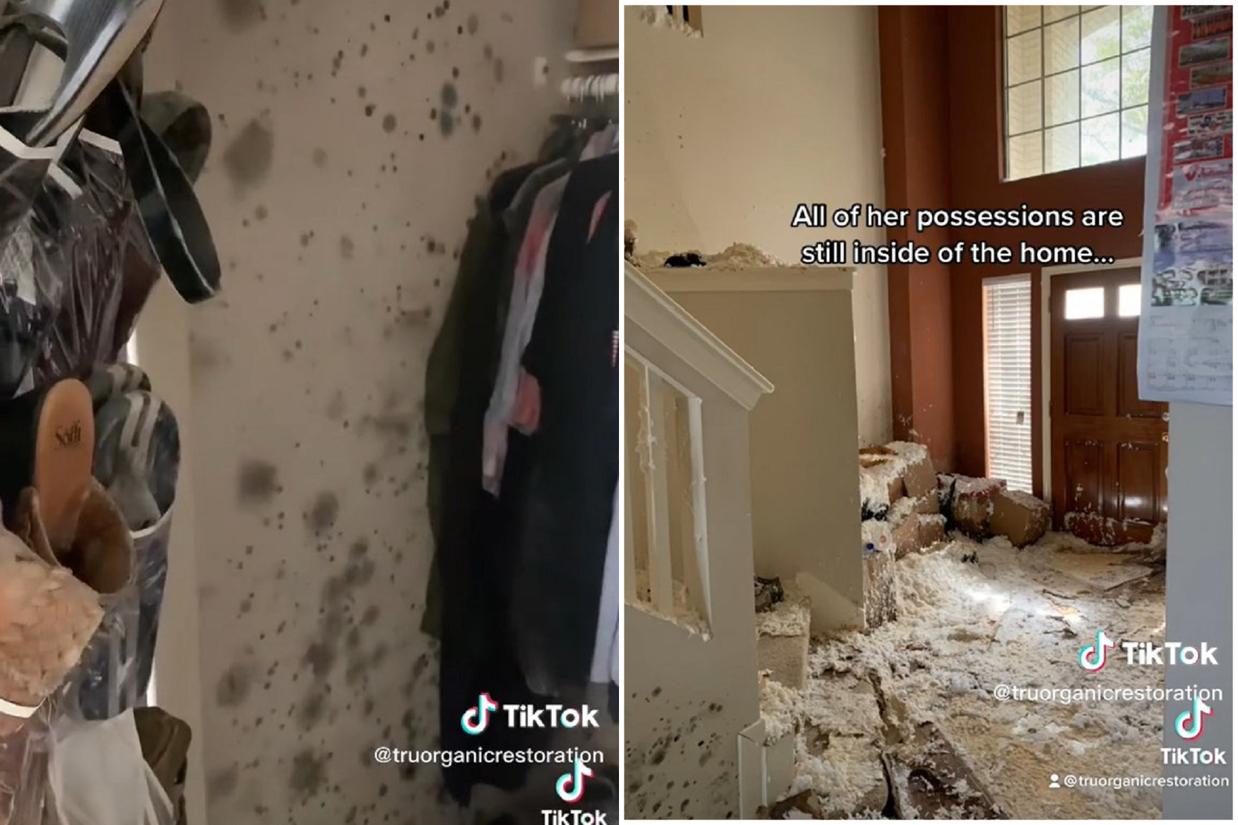 獨居老婦「人間消失」一整年，豪宅內長滿黴菌噁爆！網猜可能死在屋裡。（翻自TikTok）