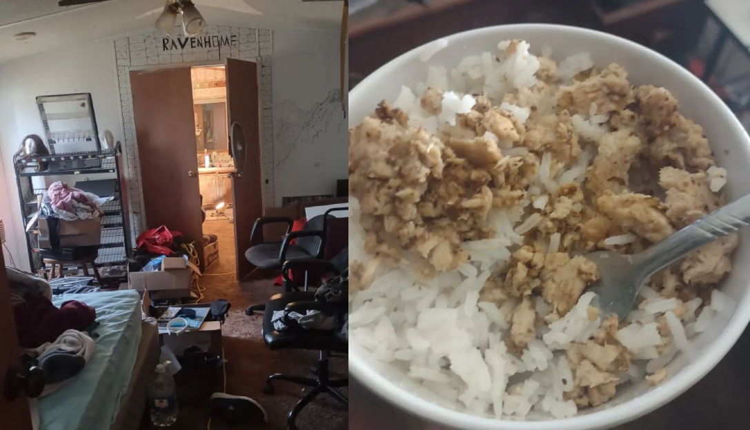 亞歷山大表示自己過得很慘，每天只吃一餐，還住在沒屋頂的破屋子裡面遭受各種天災之擾。（翻攝IG @ravenbunny8420）