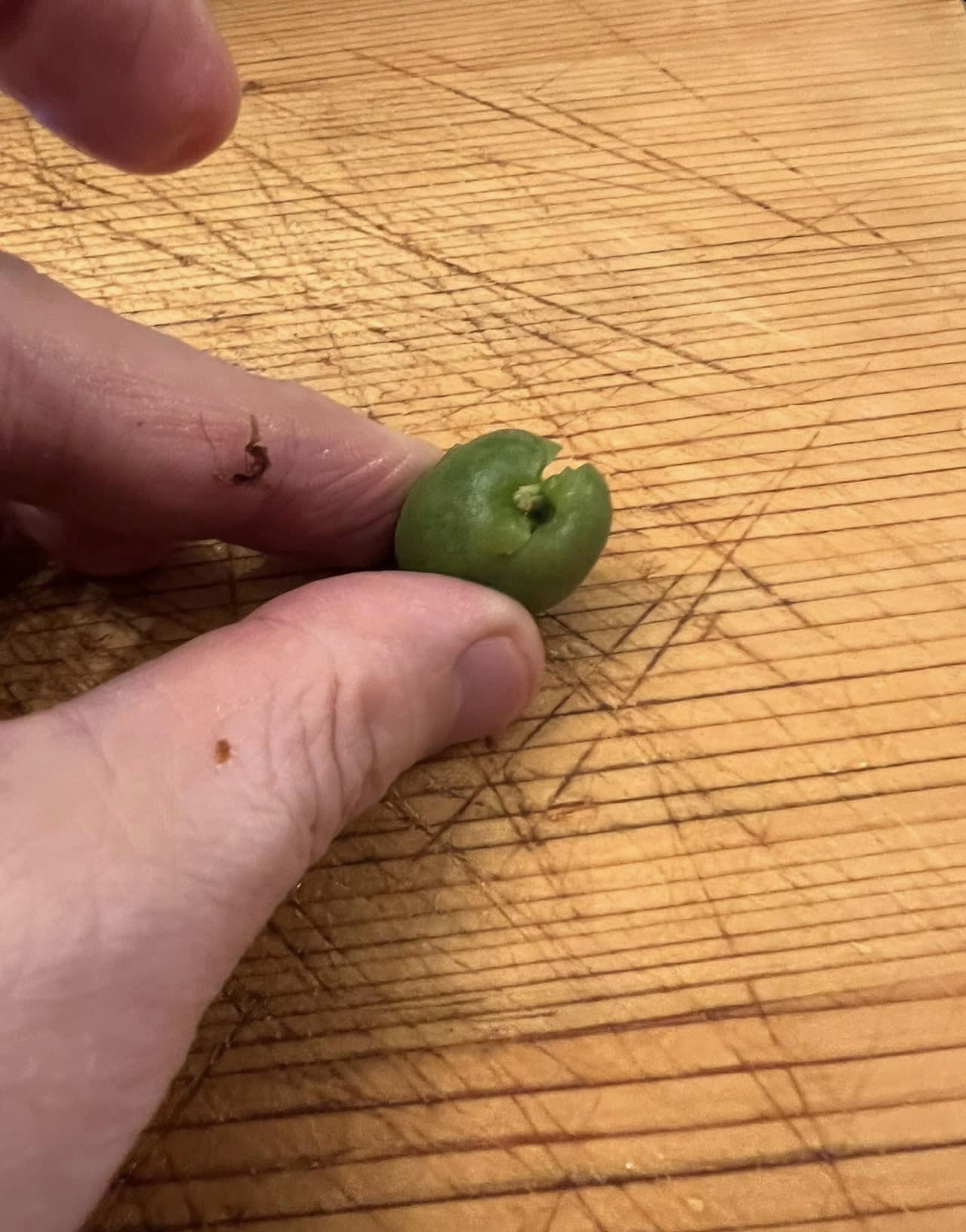 敲破的青梅。