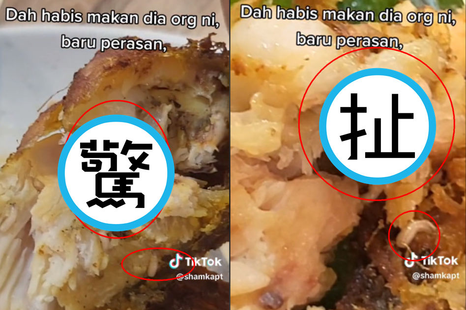 男顧客吃炸雞時驚見肥蛆蠕動。（翻攝抖音@shamkapt）