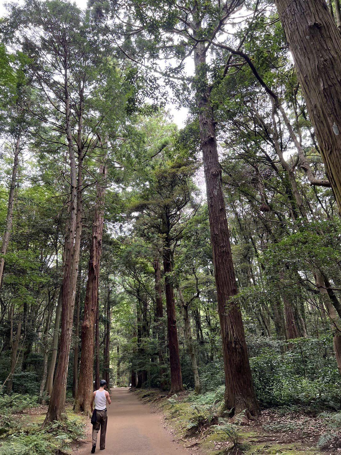 林志玲難得分享和老公約會日常,曬出愛妻視角悄悄放閃。(翻攝林志玲臉書)