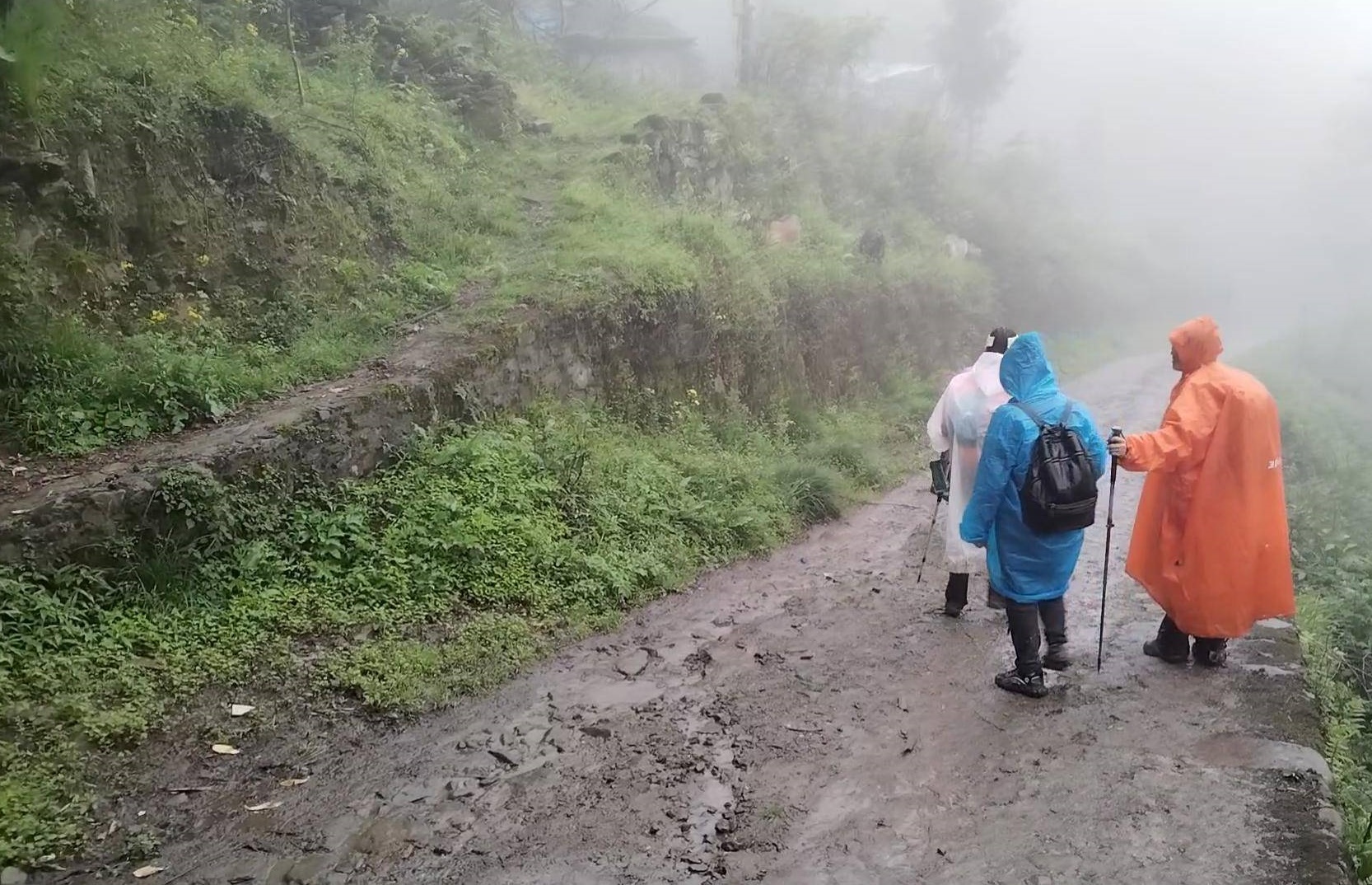 中國四川的網紅景點「天鵝林場」驚傳有3人服毒輕生。非輕生當事人。（翻攝自微博）