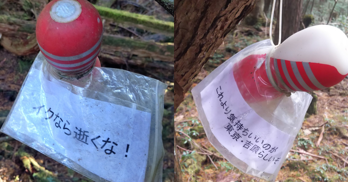 有人在青木原樹海放飛機杯,希望能勸退想輕生的人。(翻攝自推特@harizyan_pirano)
