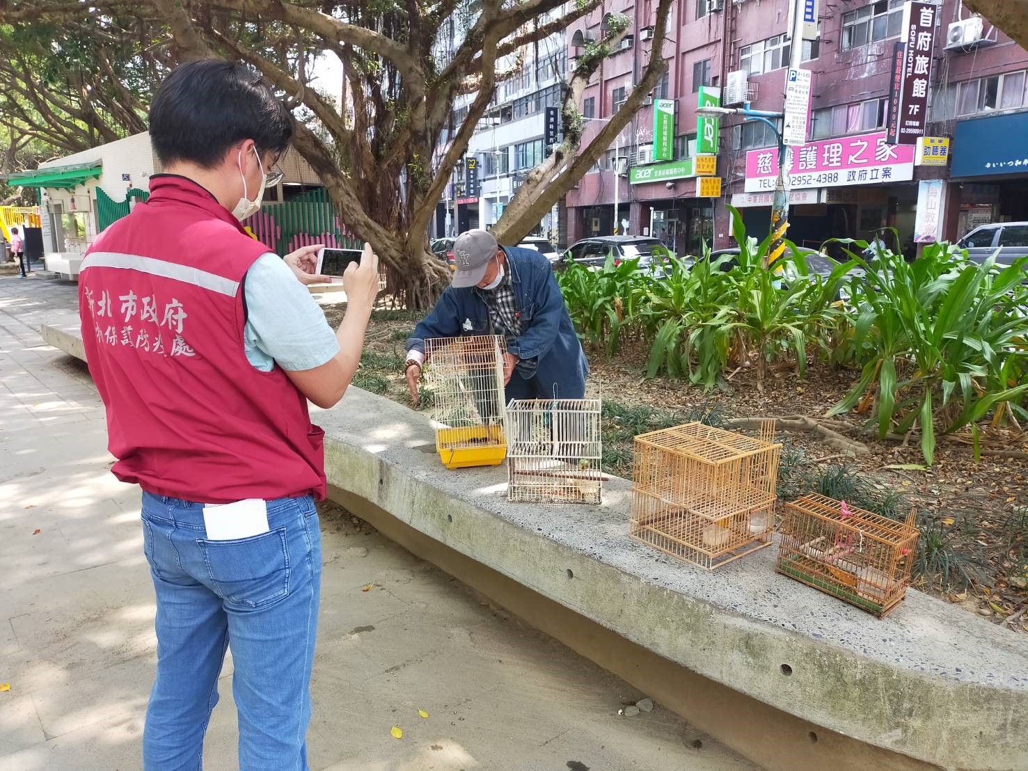 動保處同仁會同行為人將非法誘捕綠繡眼，帶到公園野放。（新北動保處提供）