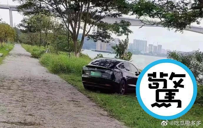 青青河邊草,正妹春宮無限好!鄉民拍特斯拉意外「洩姦情」引爆正宮革命。(翻自微博)