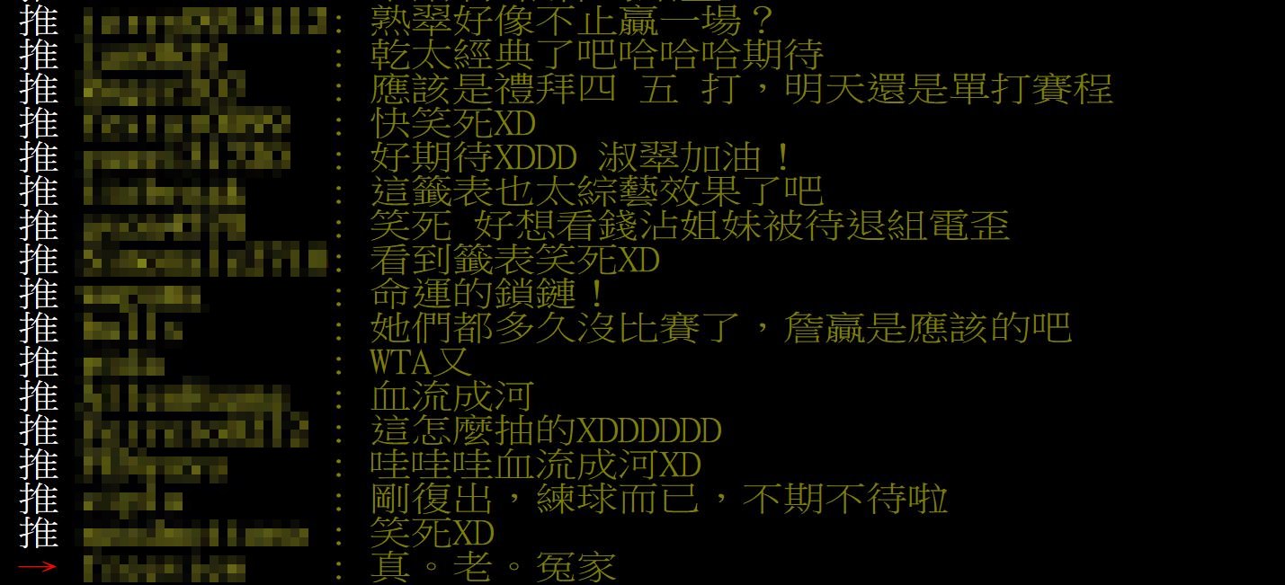 謝淑薇復出首戰對上詹家姊妹，引起話題。（翻攝PTT網球板）