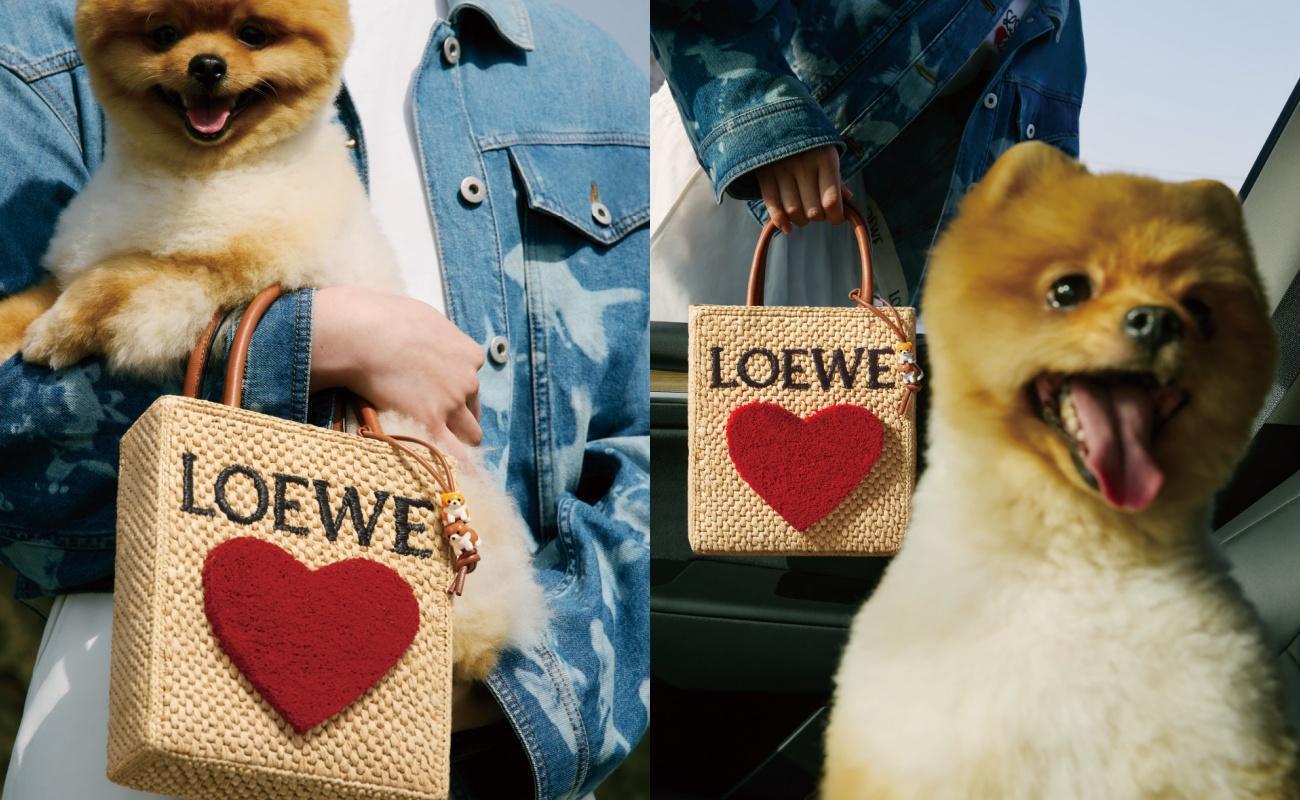 LOEWE 520情人節特別企劃有令人融化的可愛博美入鏡,以及可愛的毛茸茸的大愛心托特包。(LOEWE提供)
