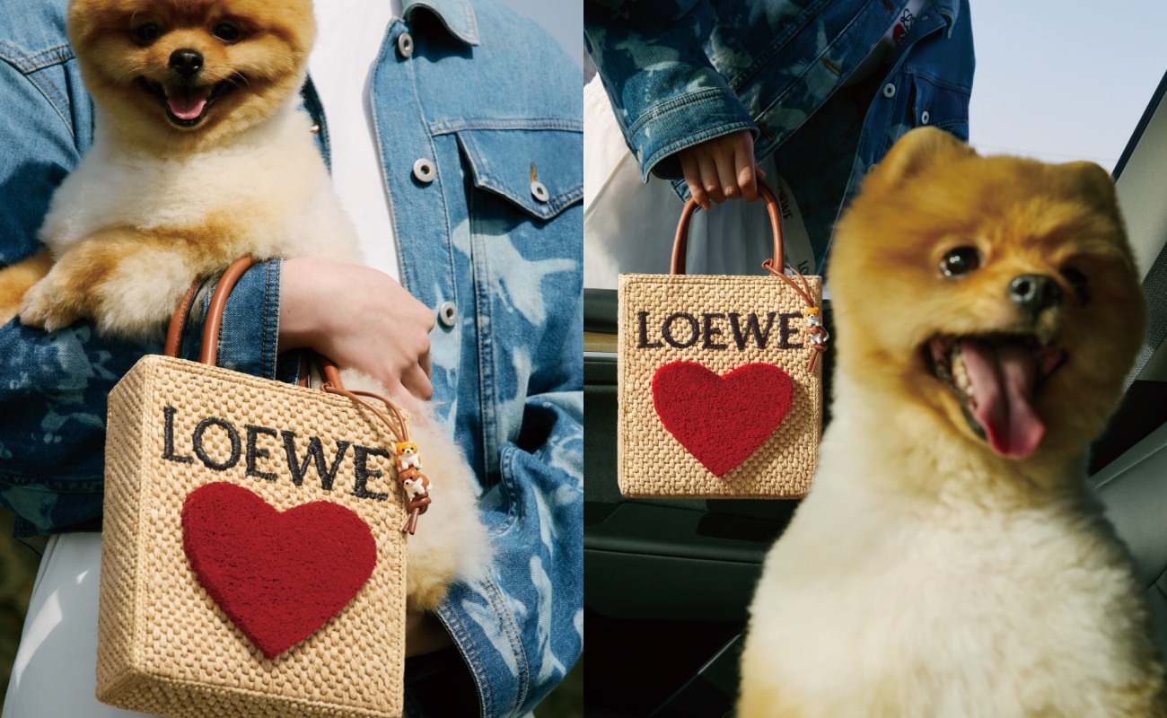 LOEWE 520情人節特別企劃有令人融化的可愛博美入鏡，以及可愛的毛茸茸的大愛心托特包。（LOEWE提供）