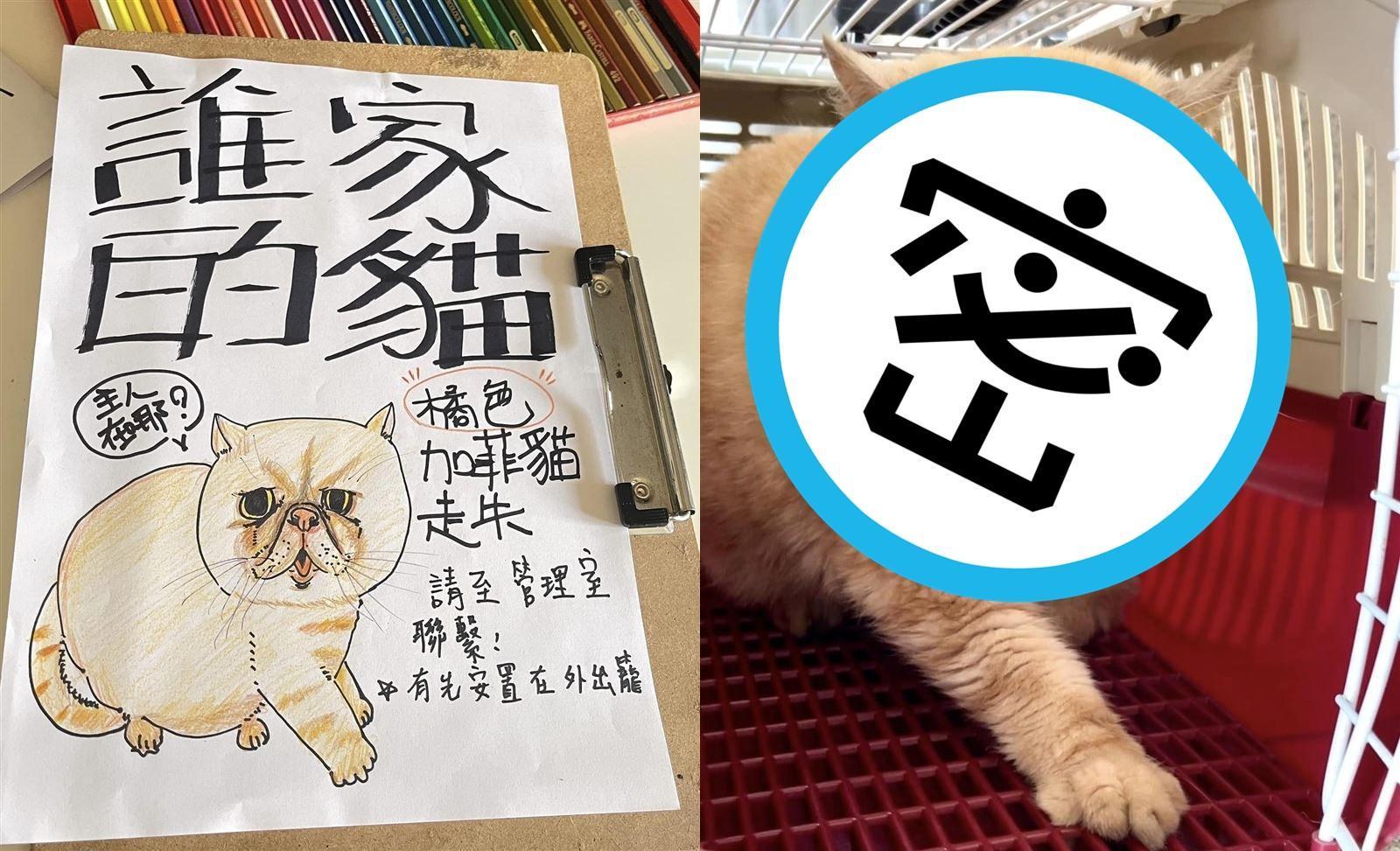 網友幫忙畫了一張「失貓招領」公告，沒想到畫技驚豔許多網友。（翻攝臉書社團「貓咪也瘋狂俱樂部CrazyCat club」）