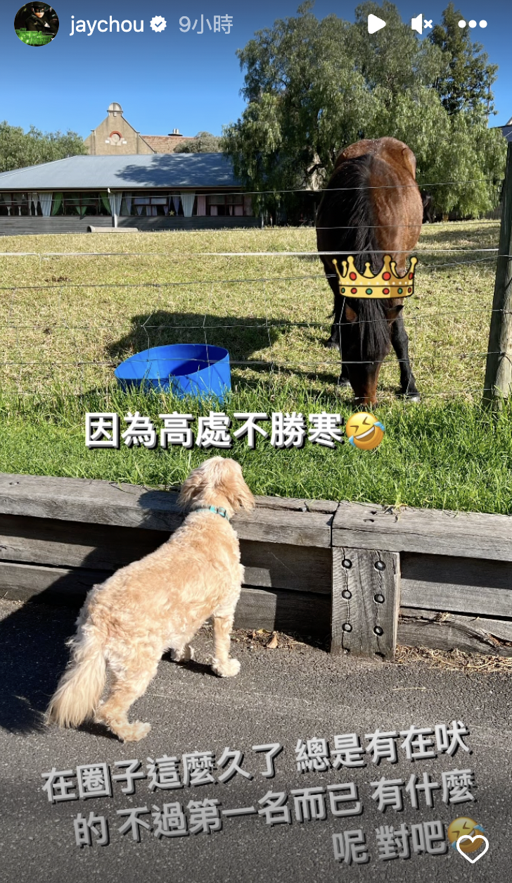 周杰倫回應酸民。(截圖自周杰倫IG)