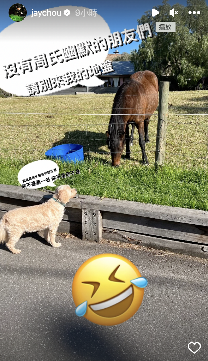 周杰倫回應酸民。(截圖自周杰倫IG)