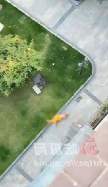 男子墜樓重摔,生死未卜。(翻自微博)