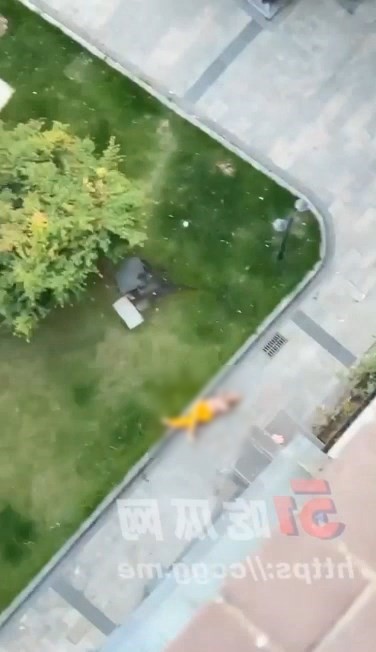 男子墜樓重摔，生死未卜。（翻自微博）