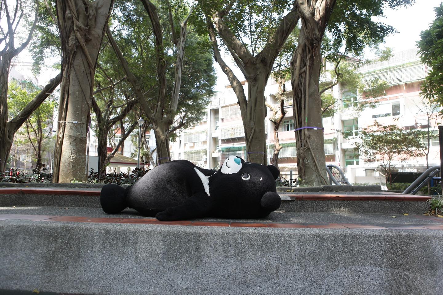 熊讚今日站上備詢台，被議員罵過太爽，要牠多跑一點行程。（翻攝自熊讚臉書）