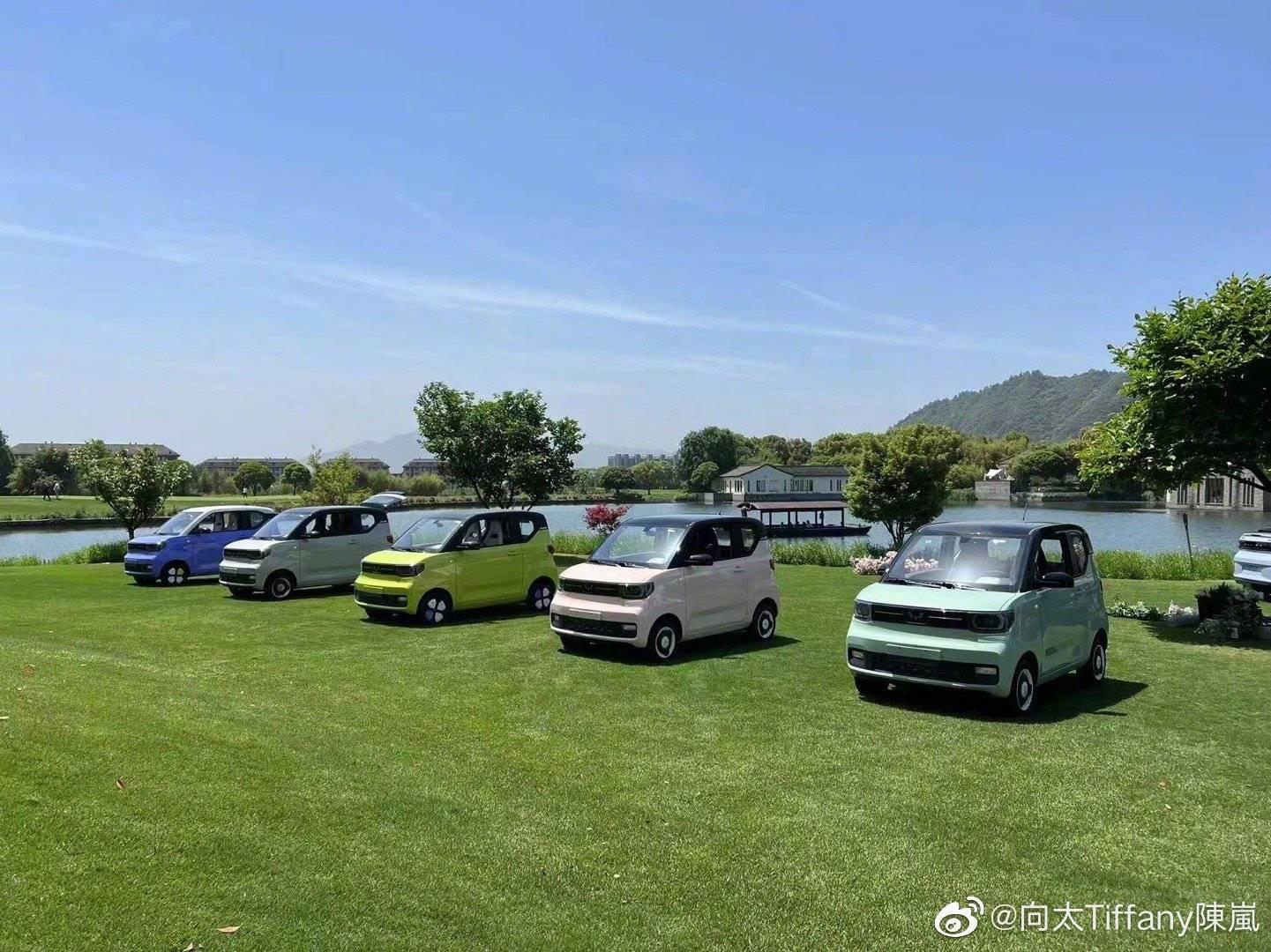網友透露100輛車僅不過400萬人民幣，向太一場直播收入就有幾千萬人民幣，這點錢對他們來說不算什麼。（翻攝自向太微博）