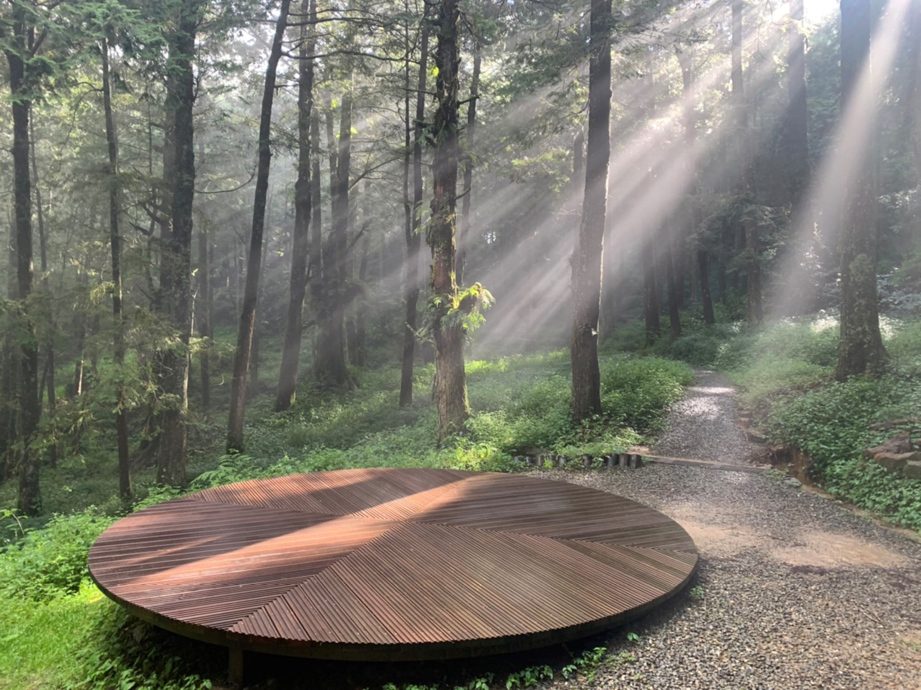 阿里山國家森林遊樂區水山療癒步道內療癒空間「森天觀影」。（林務局提供）