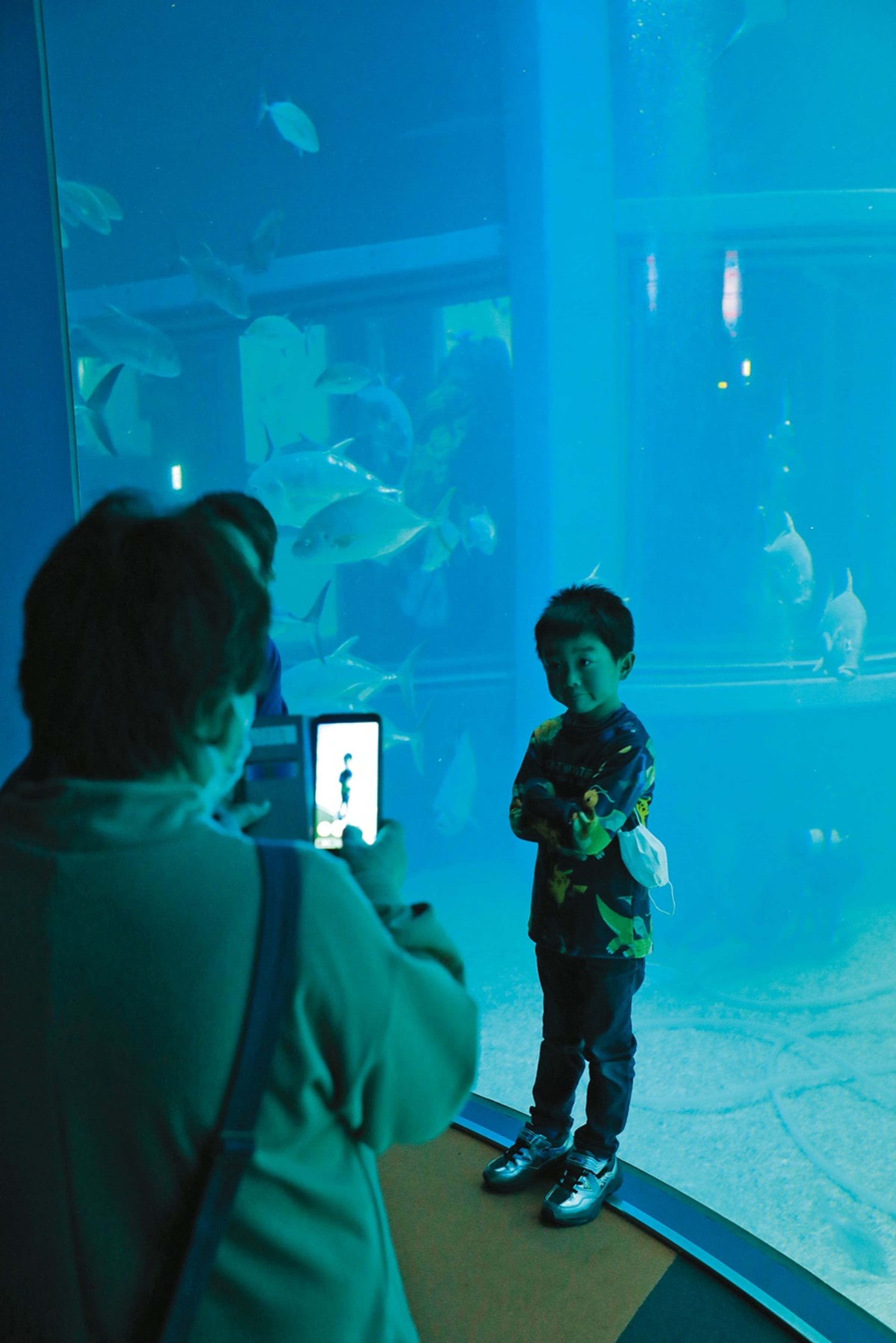 小男孩帥氣地與魚群合照。